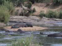 Marion, Romane South Africa 2014 (13 of 63) : KNP Skukuza area, Marion visit